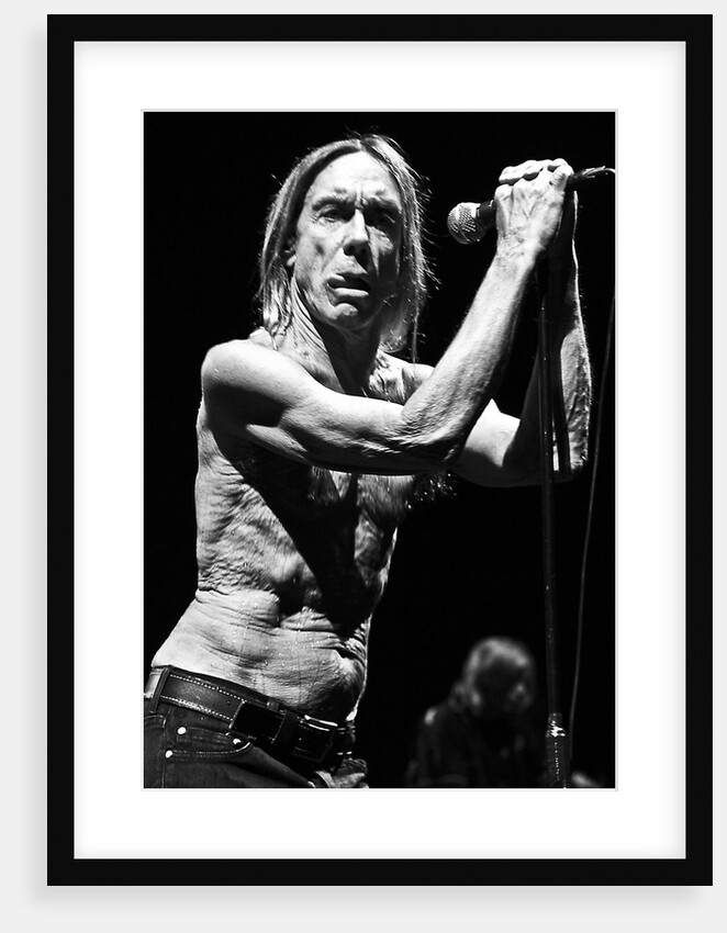 Iggy Pop and The Stooges (1) by Karen Toftera